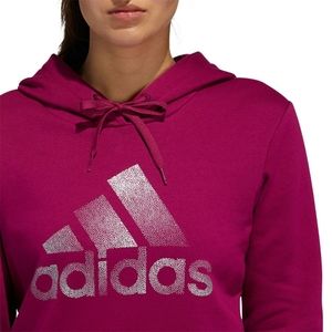 Adidas Holiday Graphic Hoodie